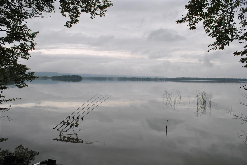 OMG - dsc0004large.jpeg